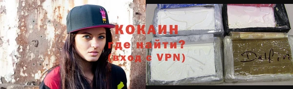 прущие грибы Вяземский