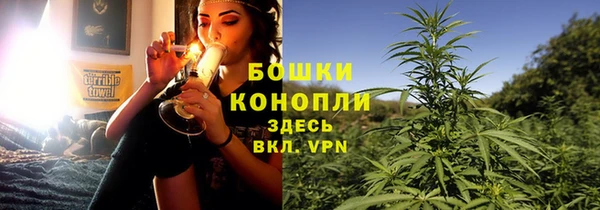 прущие грибы Вяземский