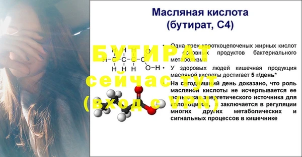 прущие грибы Вяземский